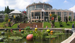 Atlanta Botanical Garden-n-slide1